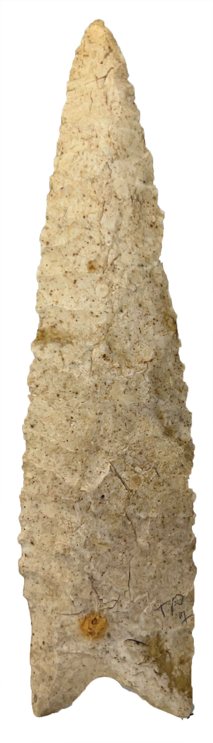 5 1/2" Dalton. Burlington. St Charles, Missouri. Putty COA (1 of 3)