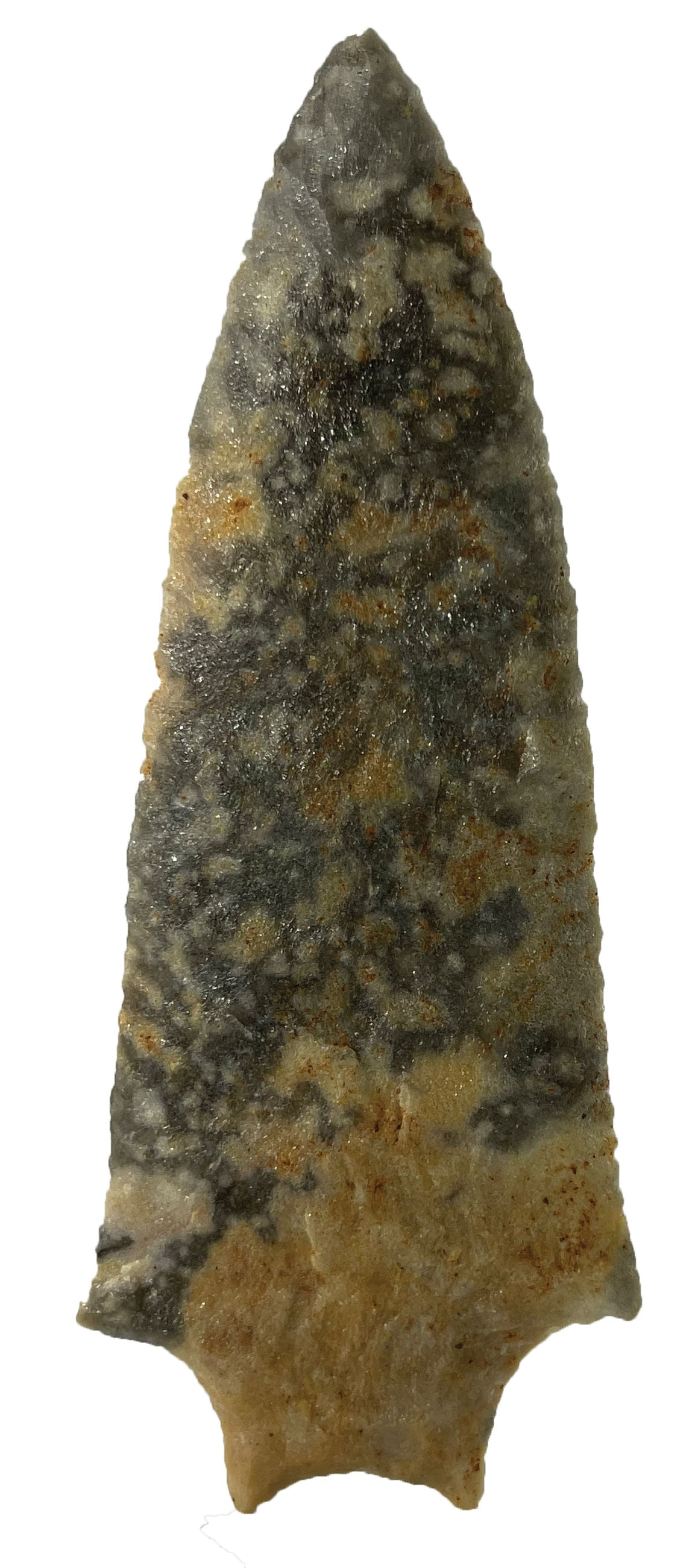 5 3/8" Pickwick. Burke County, Georgia. Putty COA (1 of 4)