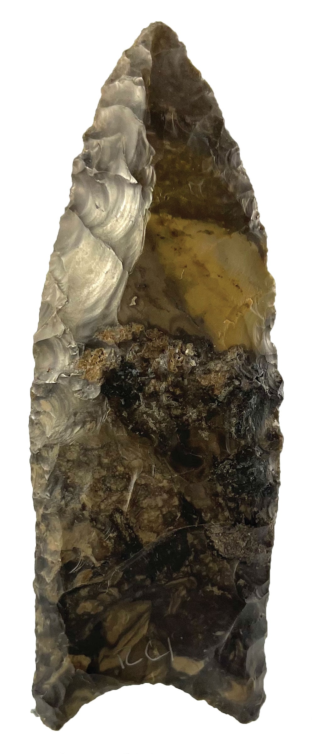 4" Clovis. Liberty County, Montana. Black Chert. Putty COA (1 of 3)