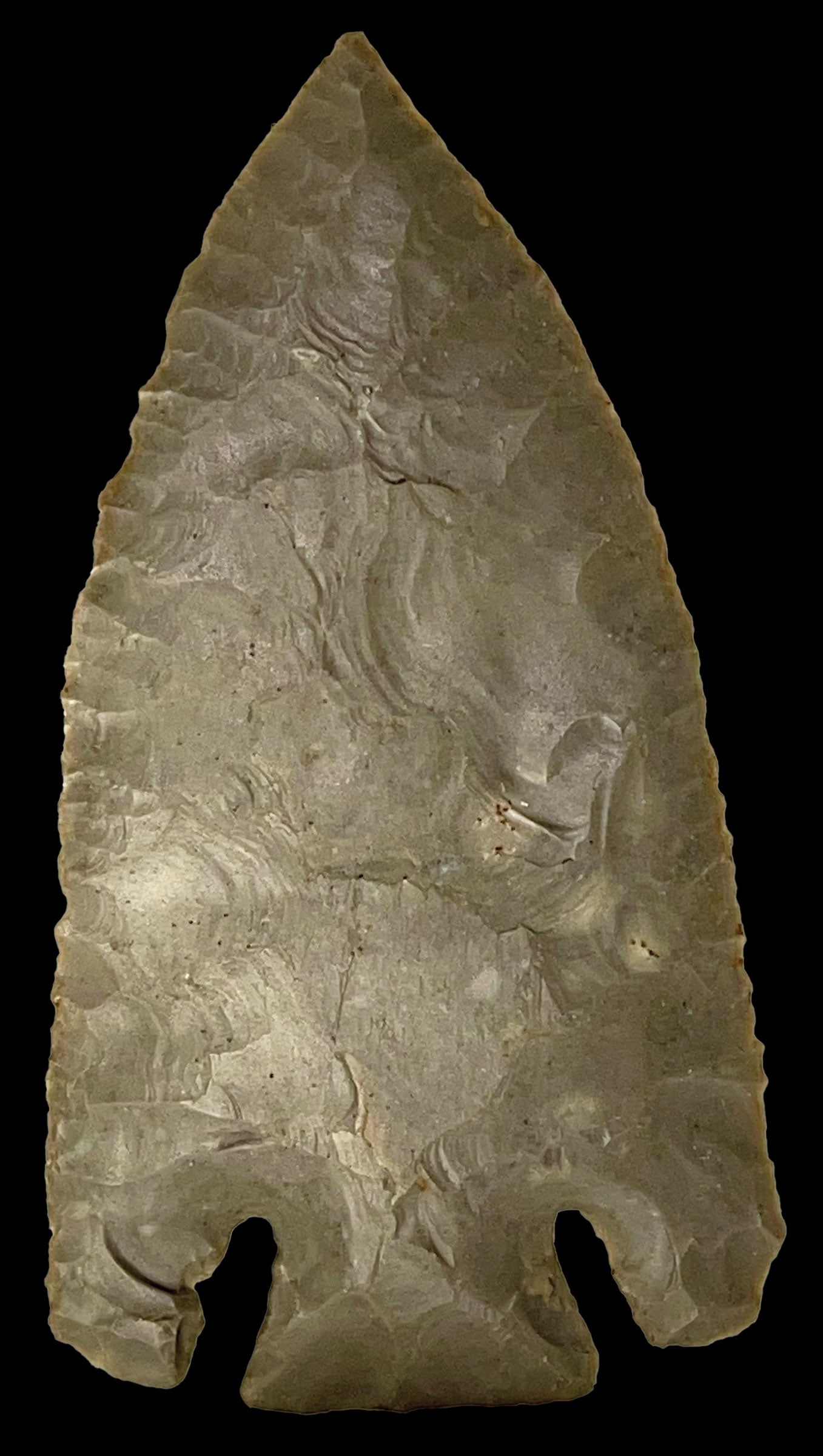 3 9/16" Lost Lake. Hardin Co, KY. Davis and Jackson COAs (1 of 6)