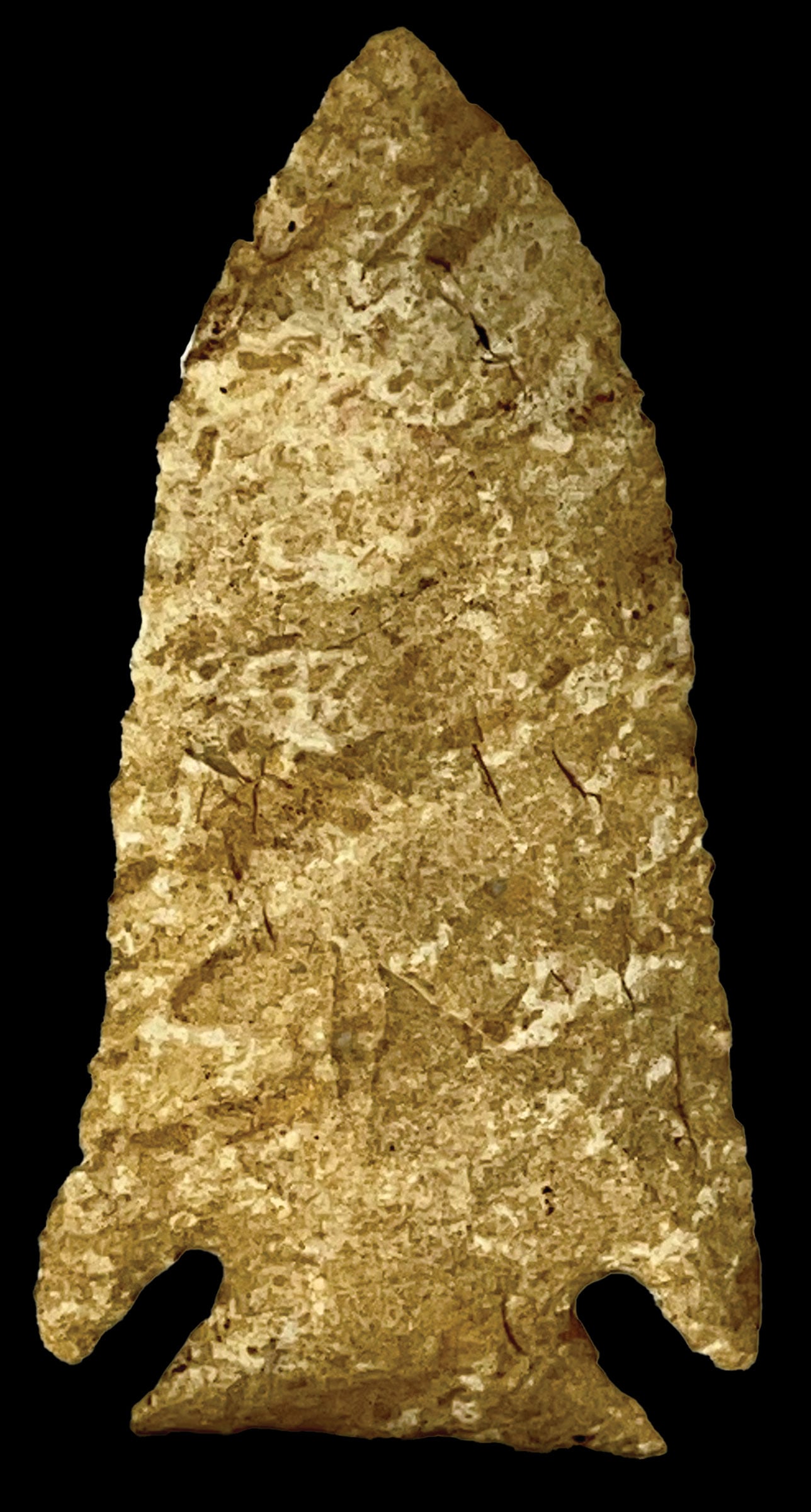 3 1/4" Lost Lake/Kirk. Meade Co, Kentucky. Ex Dale Rector (1 of 2)