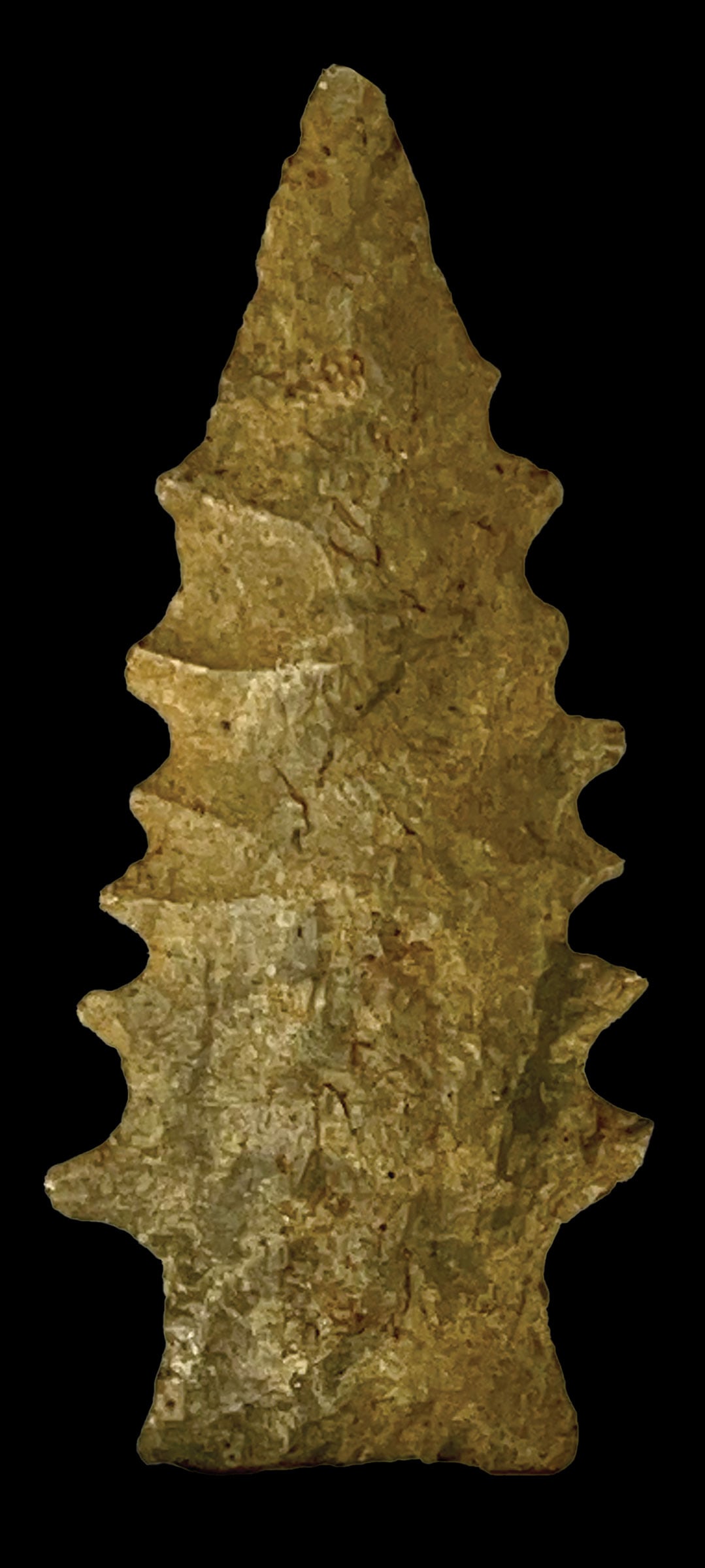 2 11/16" Serrated Kirk. Bracken Co, Ky. Exdale Rector Auction