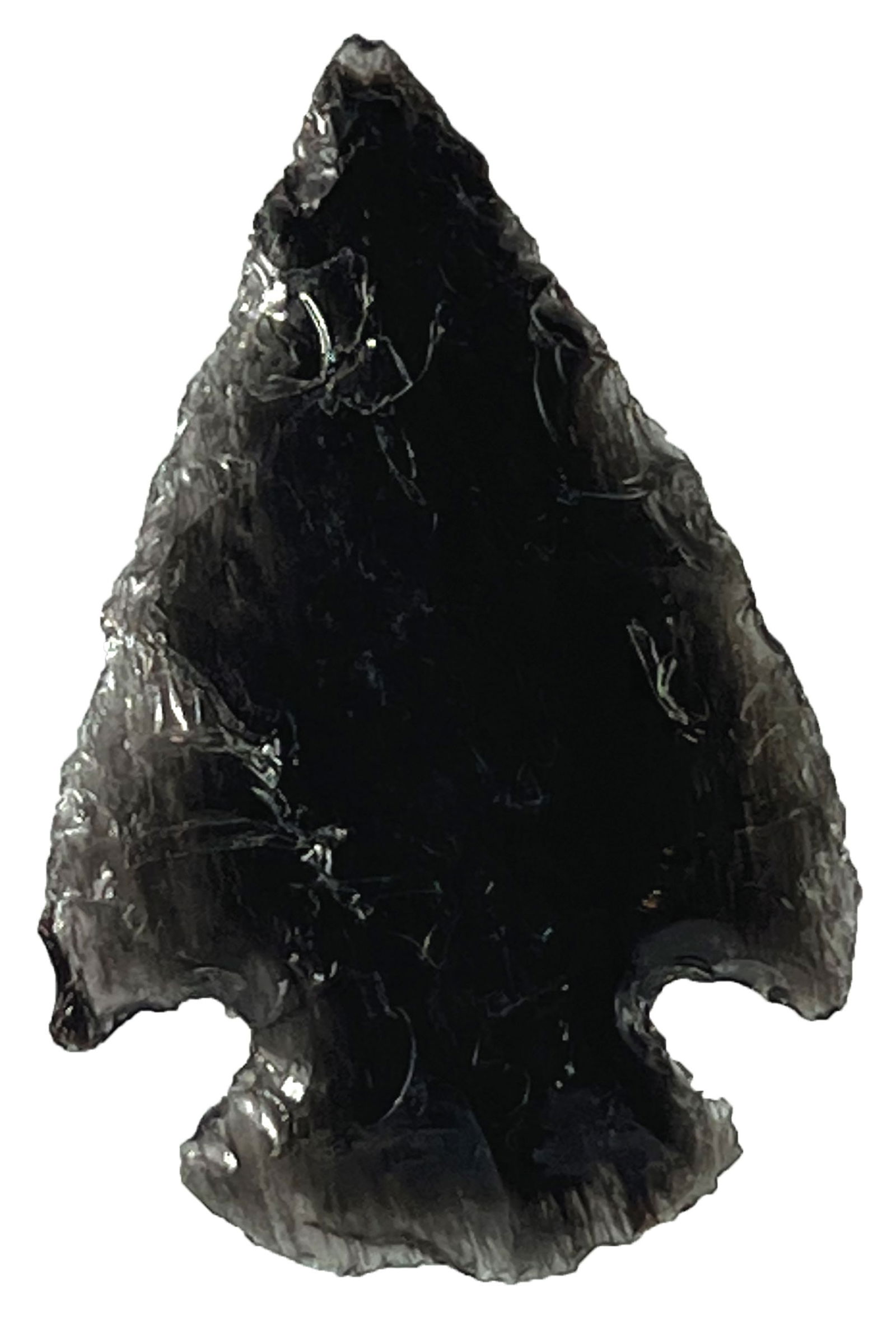 1 9/16" Mount Albion Point. Black Obsidian. Rogers COA (1 of 3)