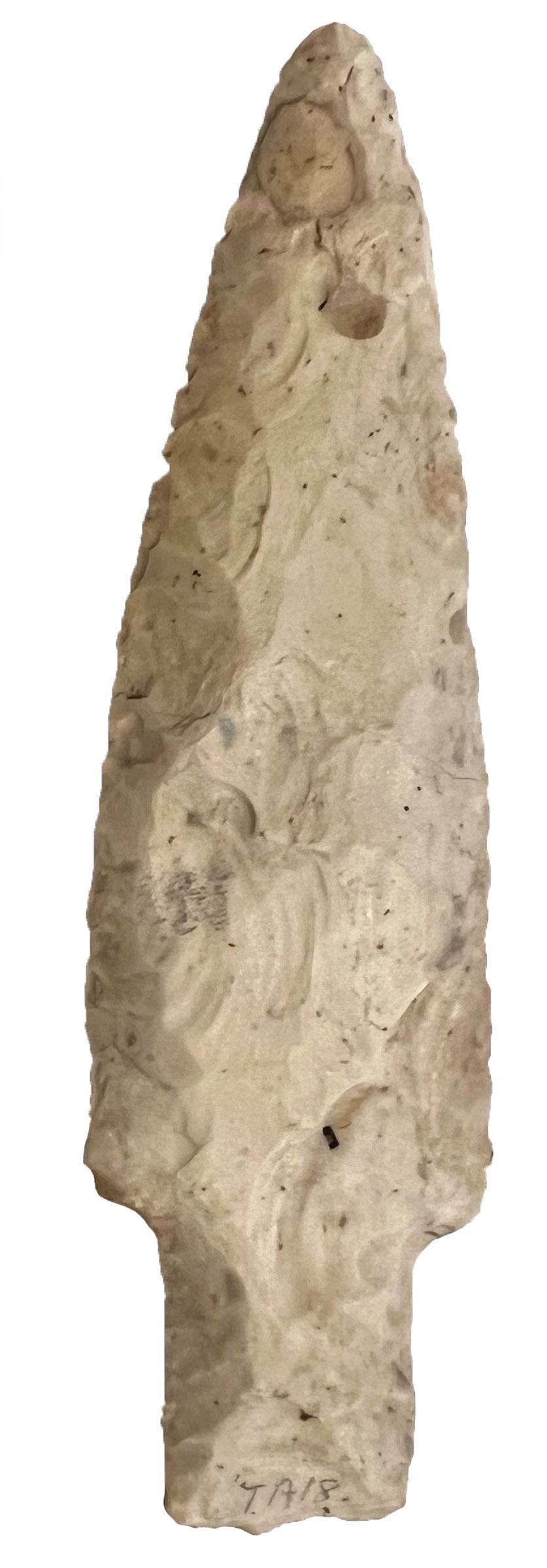 5 1/16" Eastern Stem Lancelot. Knox Co, OH. Rogers COA (1 of 3)