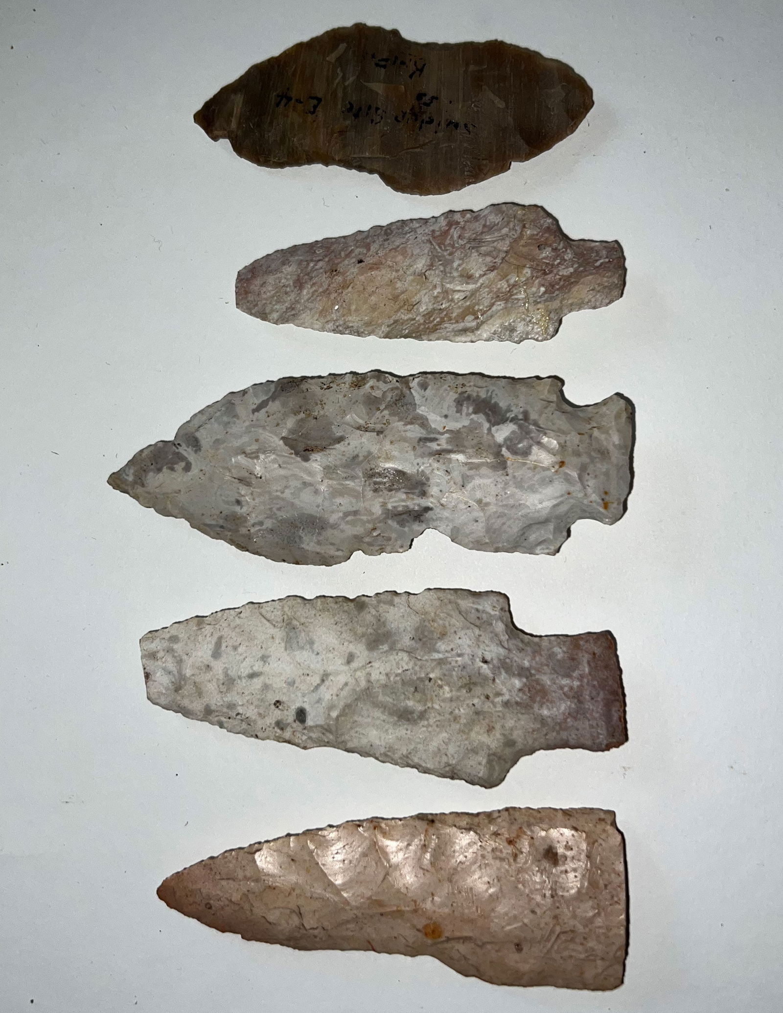 Group of 5 points 2 7/8"- 3 15/16".  Ex-Burton/Teubner Estate. (1 of 2)