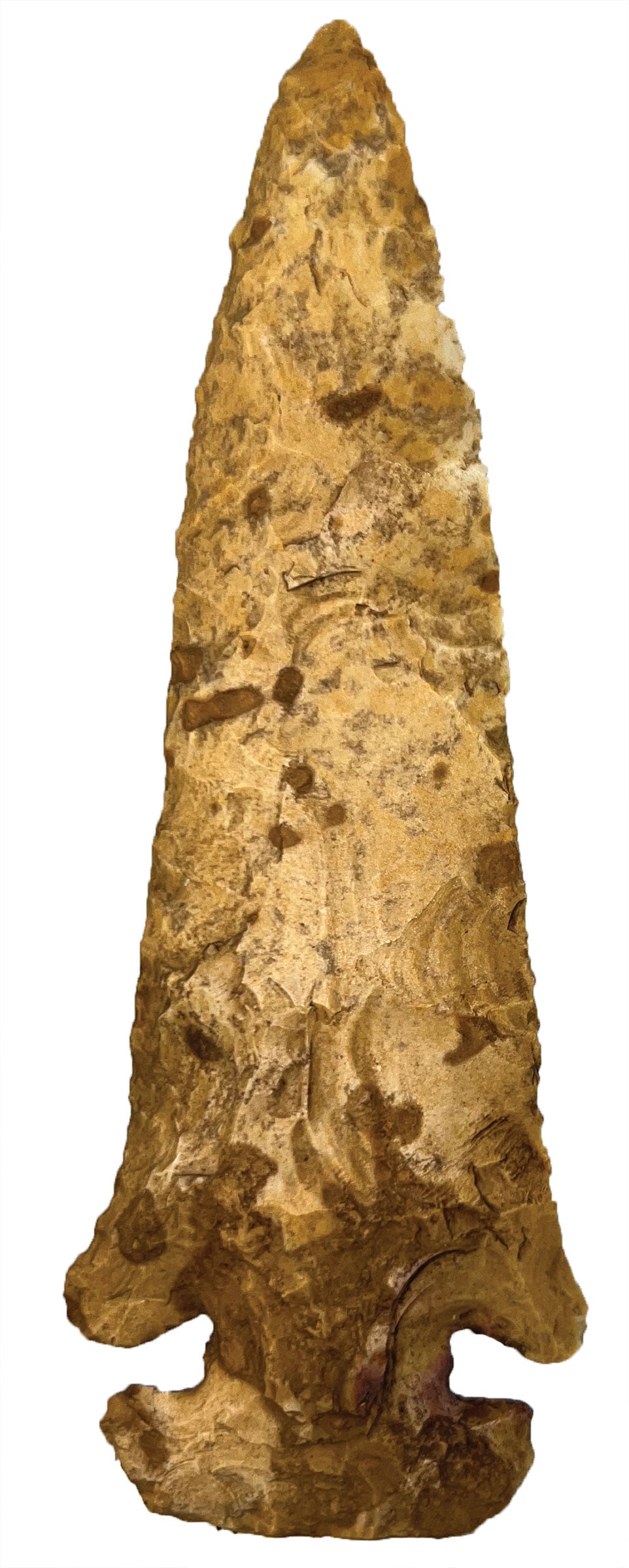 5 1/16" E-Notched Thebes. Indiana. Ex Kent Hollabaugh. (1 of 2)