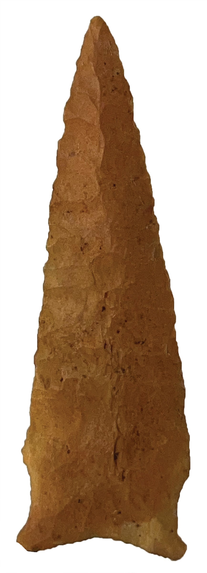 4 5/16" Dalton. Tan/Orange Color Chert. MS. Rogers COA. (1 of 3)