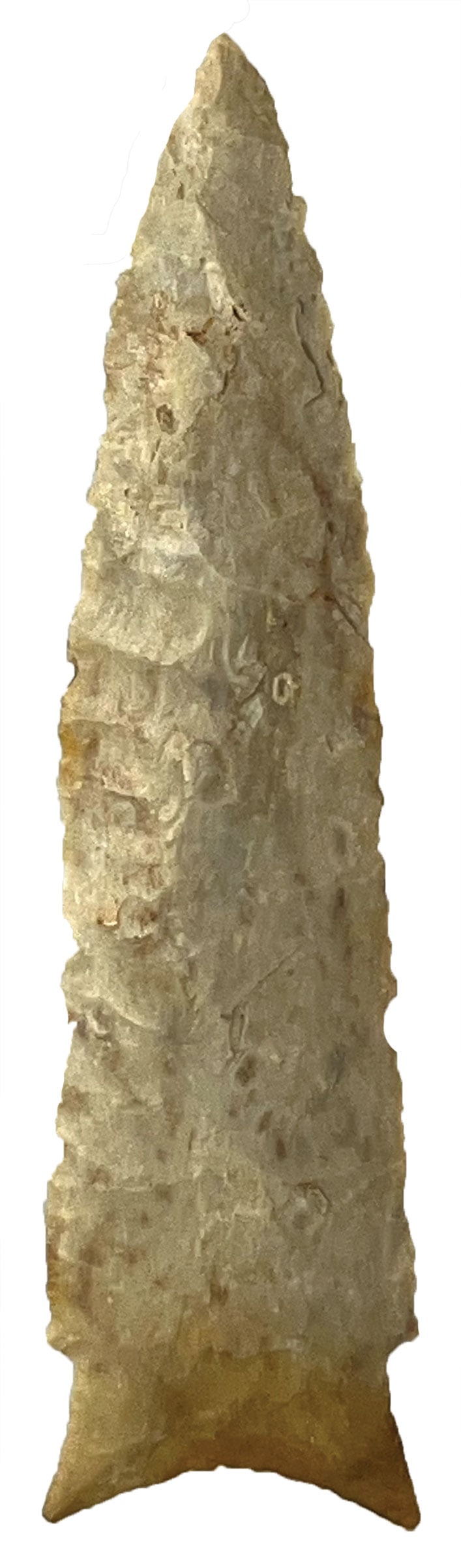 5 1/8" Holland. Avon Chert. Cole Co, MO. Found in 1947. Partain COA.: 5 1/8" Holland. Avon Chert. Cole County, MO. Found by B. Poston in 1947. Ex B. Poston, Carl Stevens and Terry Allan Collections. Partain COA.