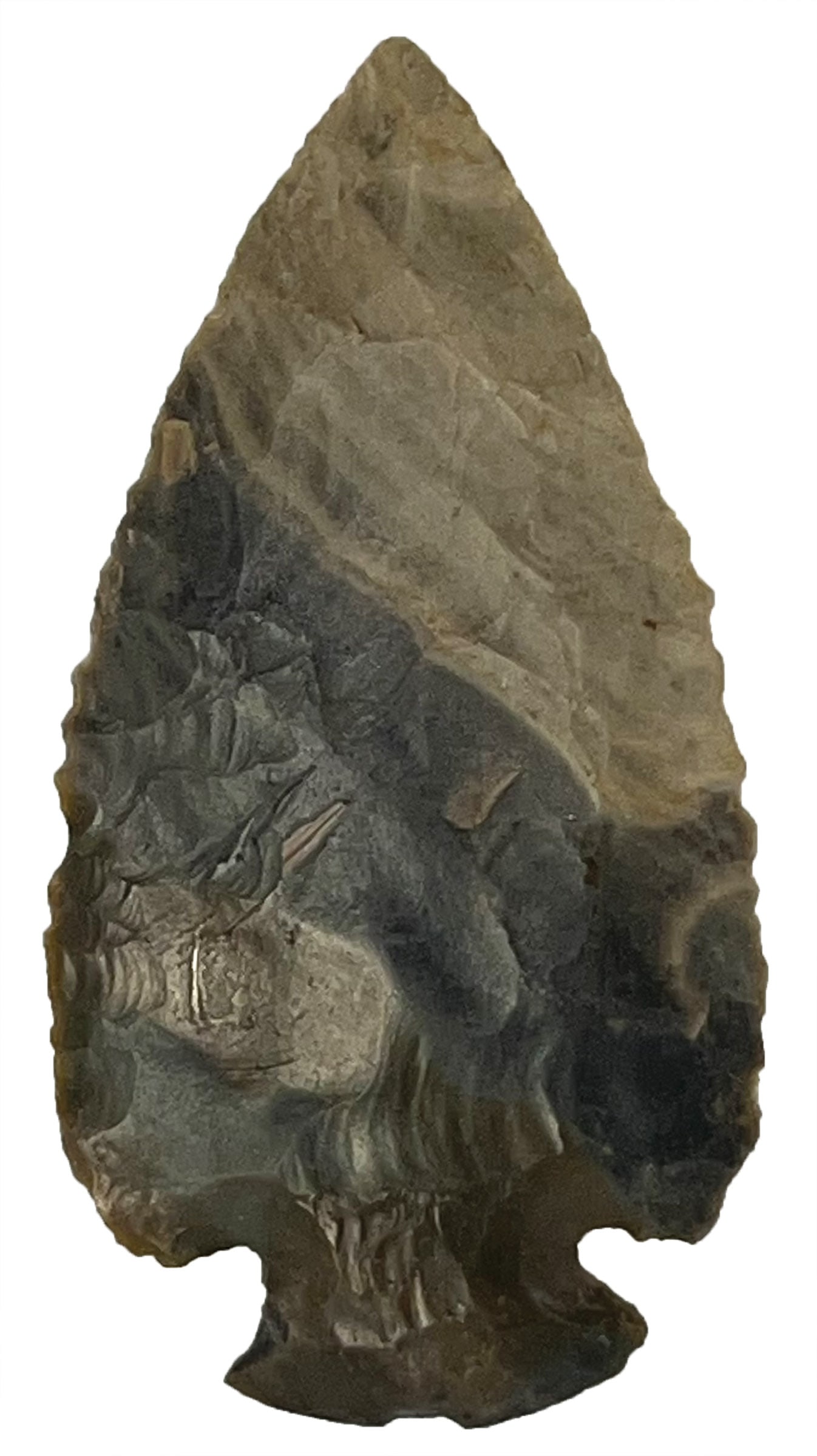 3 1/8" Bannerstone. Black Hardstone. Richland County, OH. Ex Bill Sietz. (1 of 4)