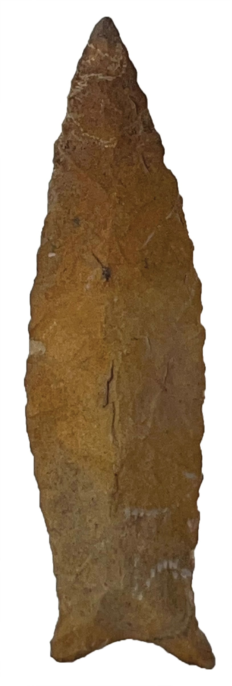 3 3/16" Beaver Lake. Tan Color Chert. Houston Co, TN. Rogers COA. (1 of 3)