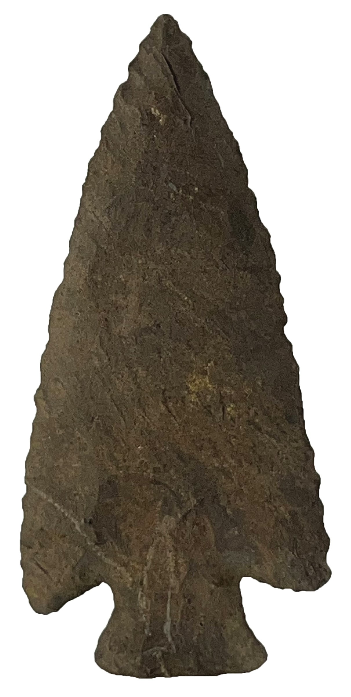 4 1/16" Hardin. Dark Brown Color Chert. Garrard Co, KY. Rogers COA. (1 of 3)