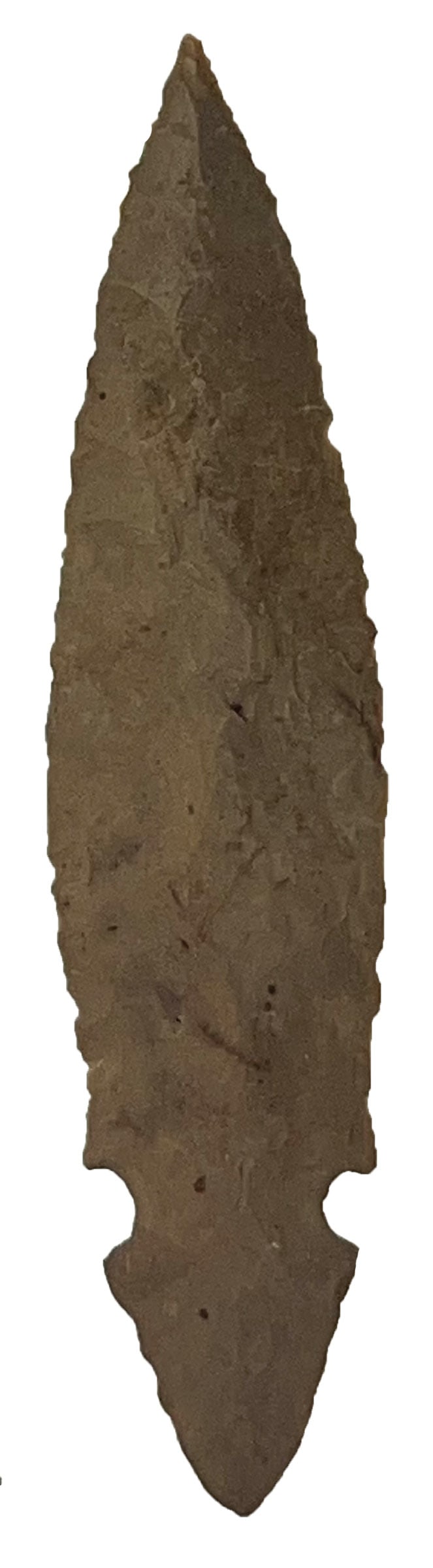 3 11/16" Turkeytail. Dover Chert. Pictured WW #11. Davis COA. (1 of 5)