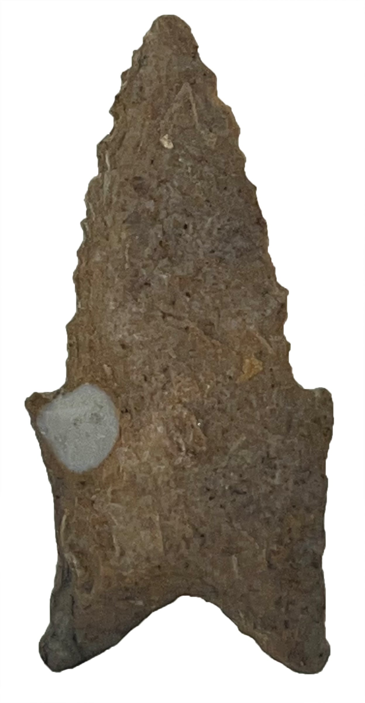 2 1/4" Dalton. Ft Payne Chert. Found in the 80s. Ex Dale Rector. (1 of 2)