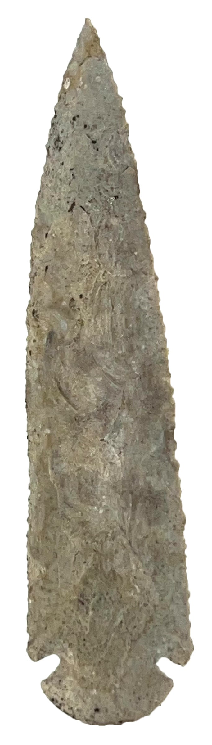 4 1/2" Dovetail. Cooper County, MO. Ex Ben Thompson. (1 of 2)