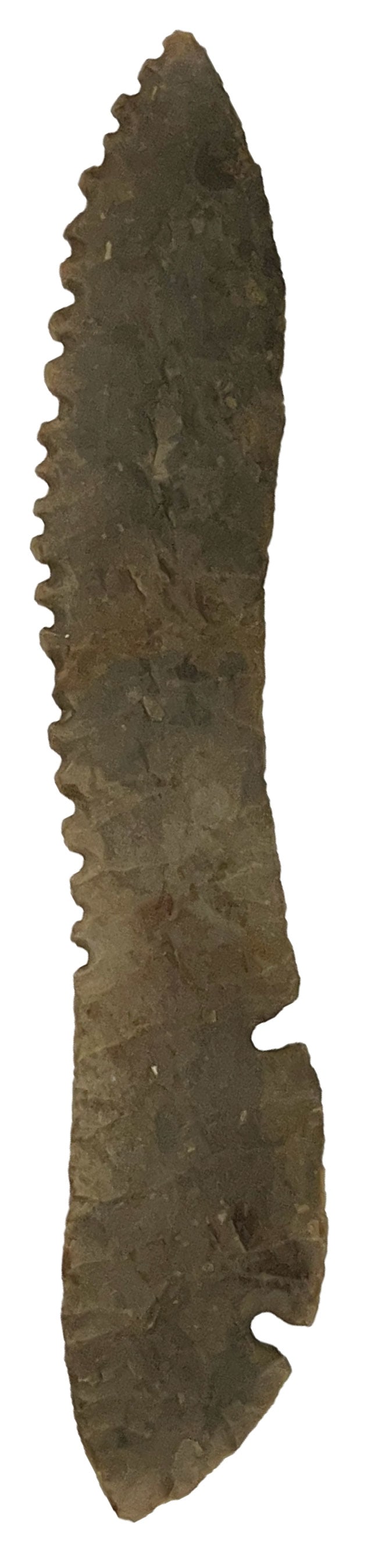 8 3/4" Back Tang Saw. Edwards Plateau. Oklahoma. Modern Art. Motley COA. (1 of 3)