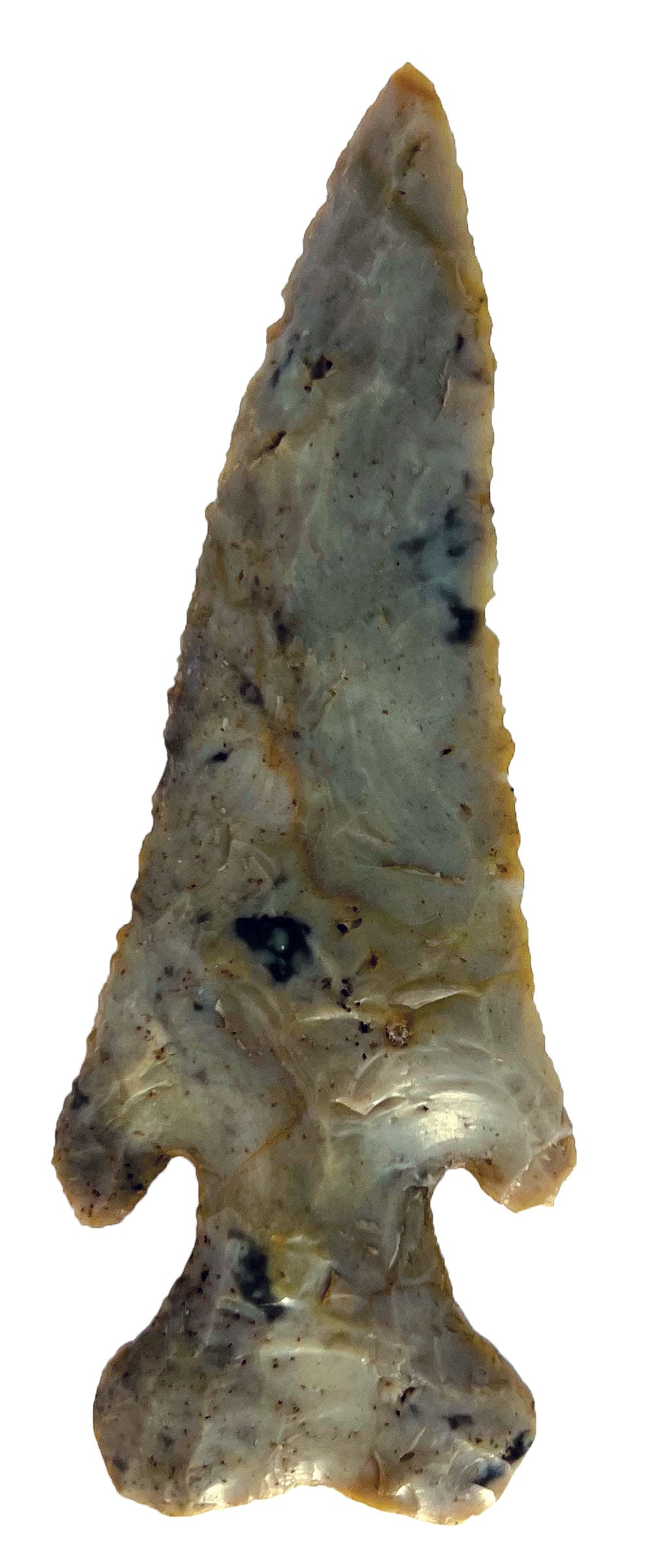 3 11/16"Thebes. Colorful Flint Ridge. Holmes Co, OH. Rogers COA. (1 of 3)