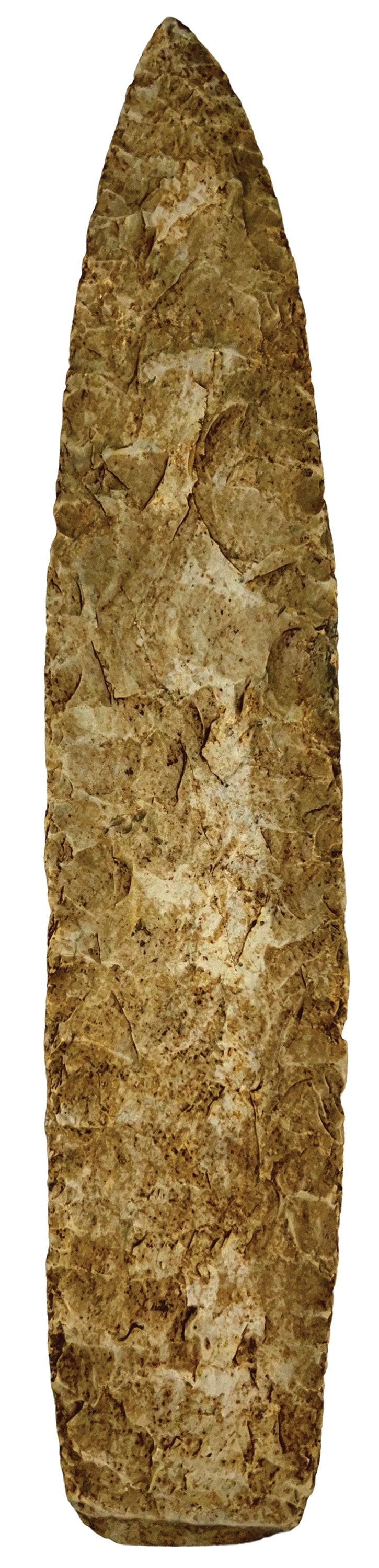 12 1/2" Archaic Blade. Oklahoma. Ex Brian Wrage. (1 of 1)