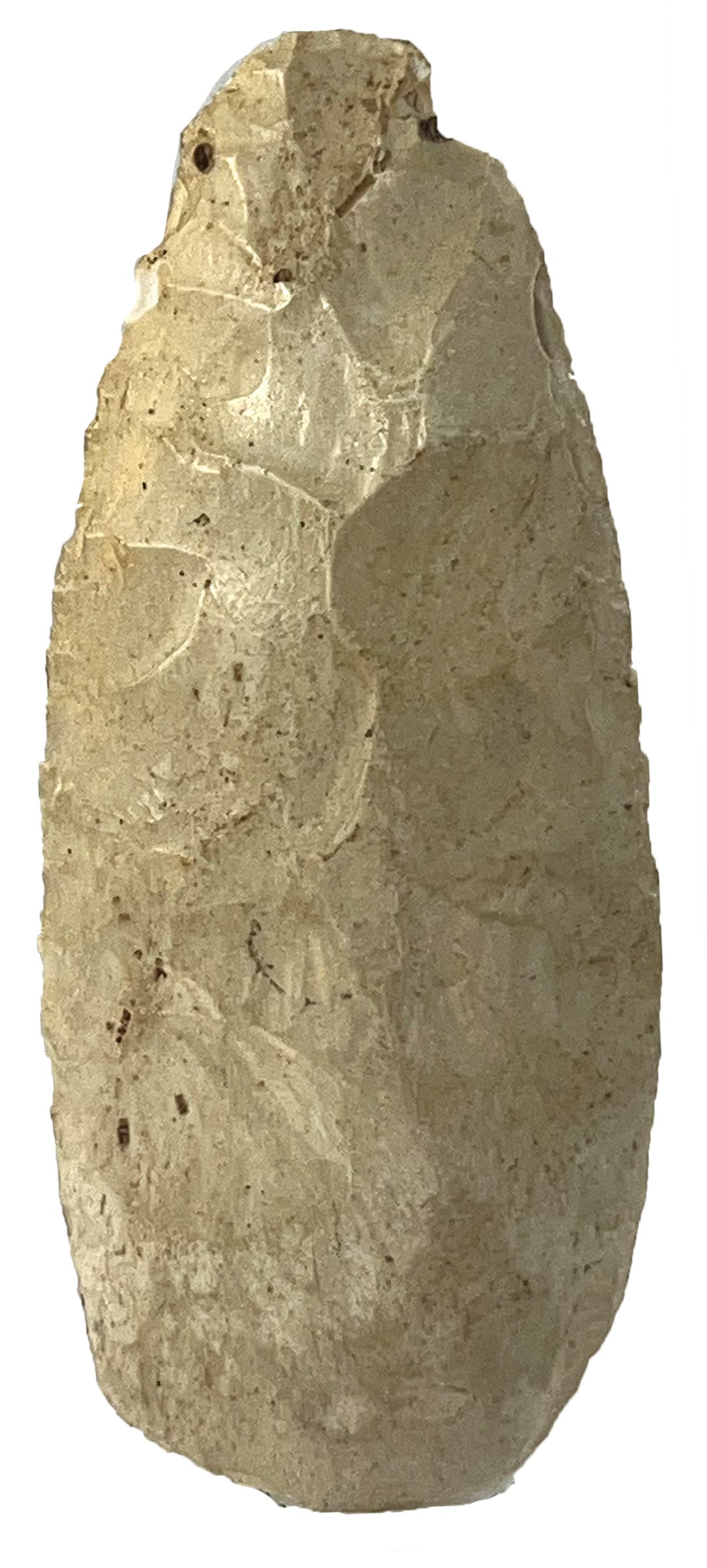 5 9/16" Adz. Highly Polished Burlington. Madison County, IL. Ex Darin Thomas Collection. (1 of 2)