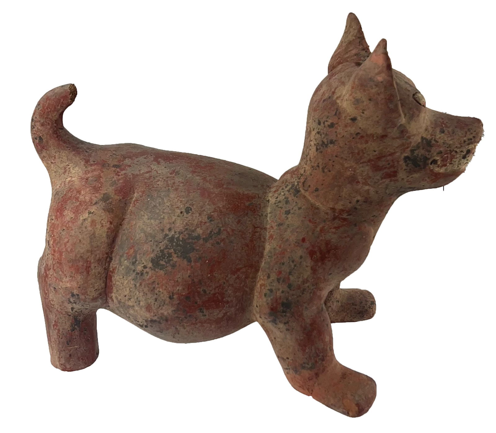 9 1/2" Colima Walking Dog. West Mexico. Jackson COA. (1 of 6)