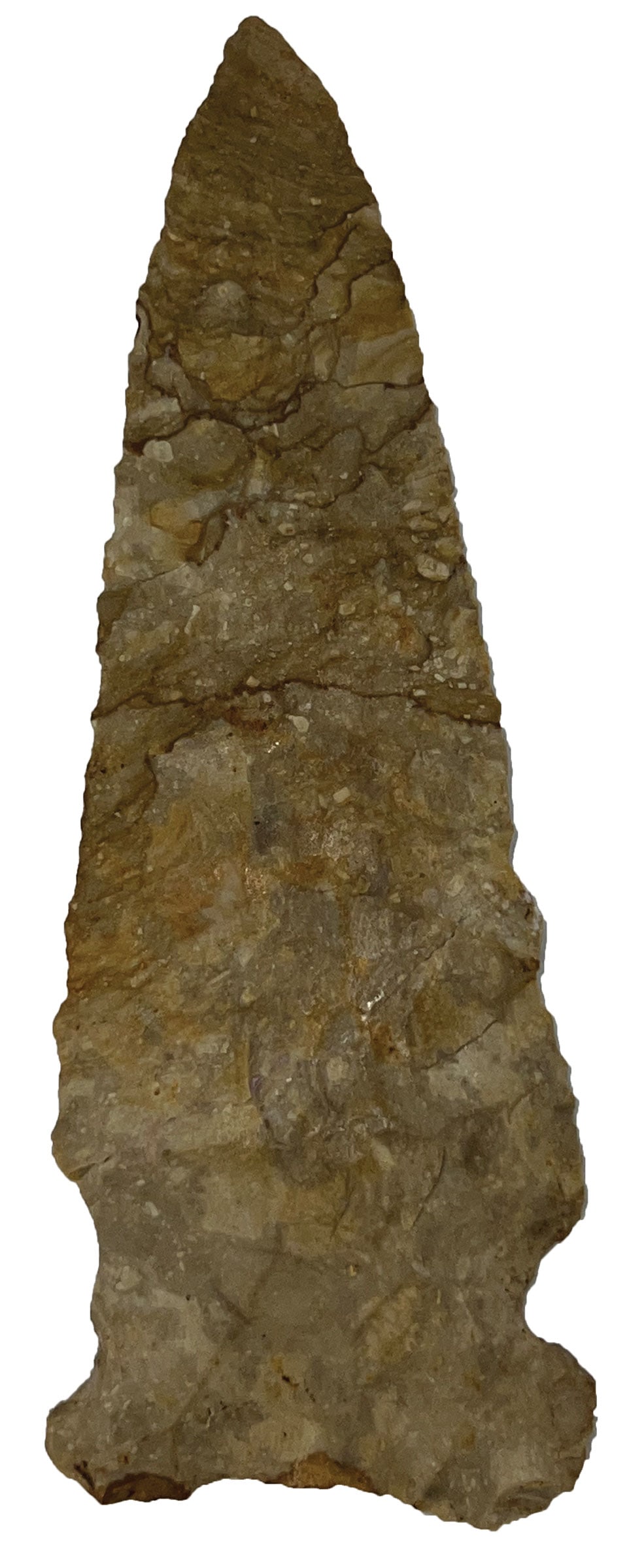 5 15/16' Hemphill. Colorful Chert. Missouri. Motley COA.: 5 15/16' Hemphill. Colorful Chert. Missouri. Ex Terry Allen. Motley COA.