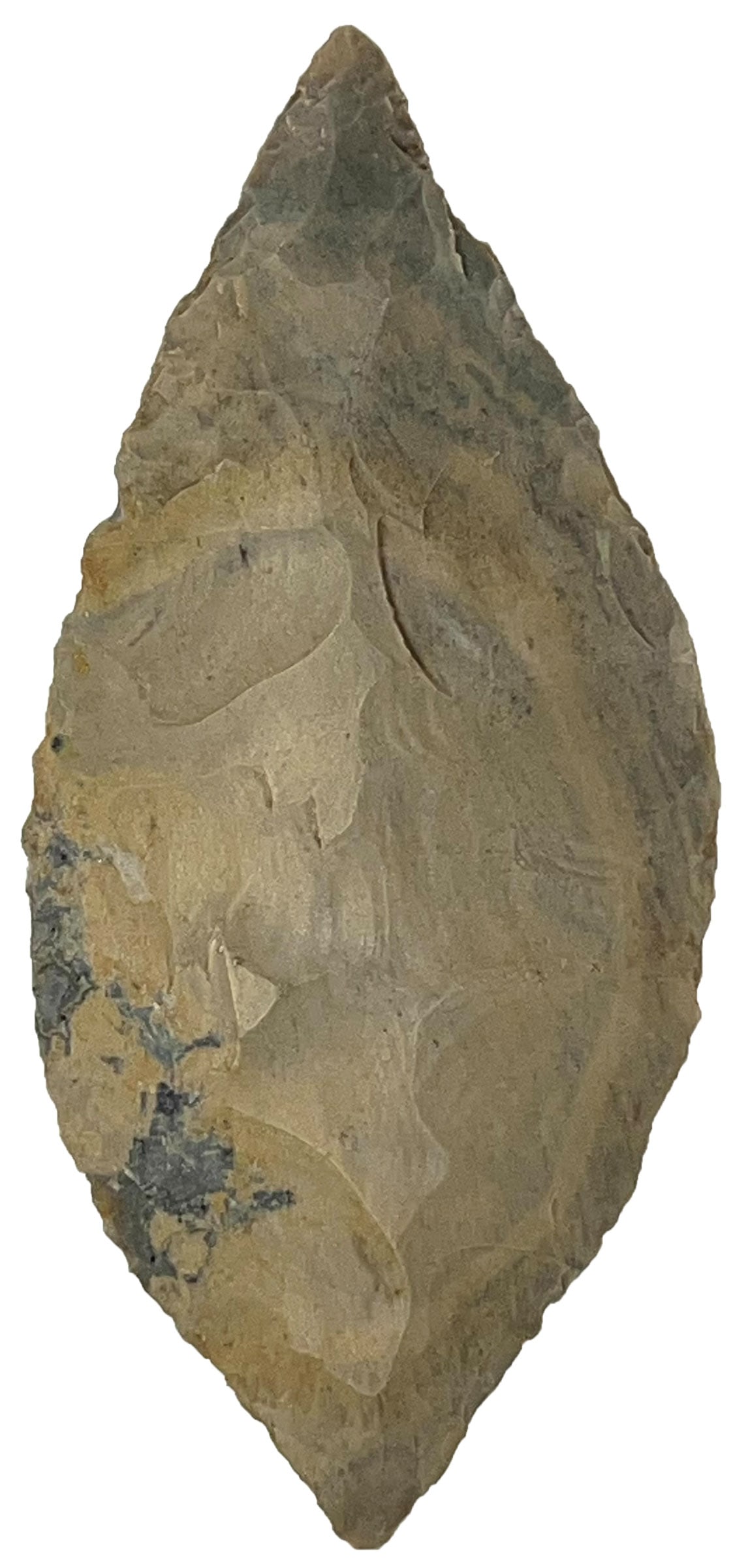 4 5/8” Unnotched Turkeytail. Hornstone. Kentucky. Rogers COA. (1 of 3)