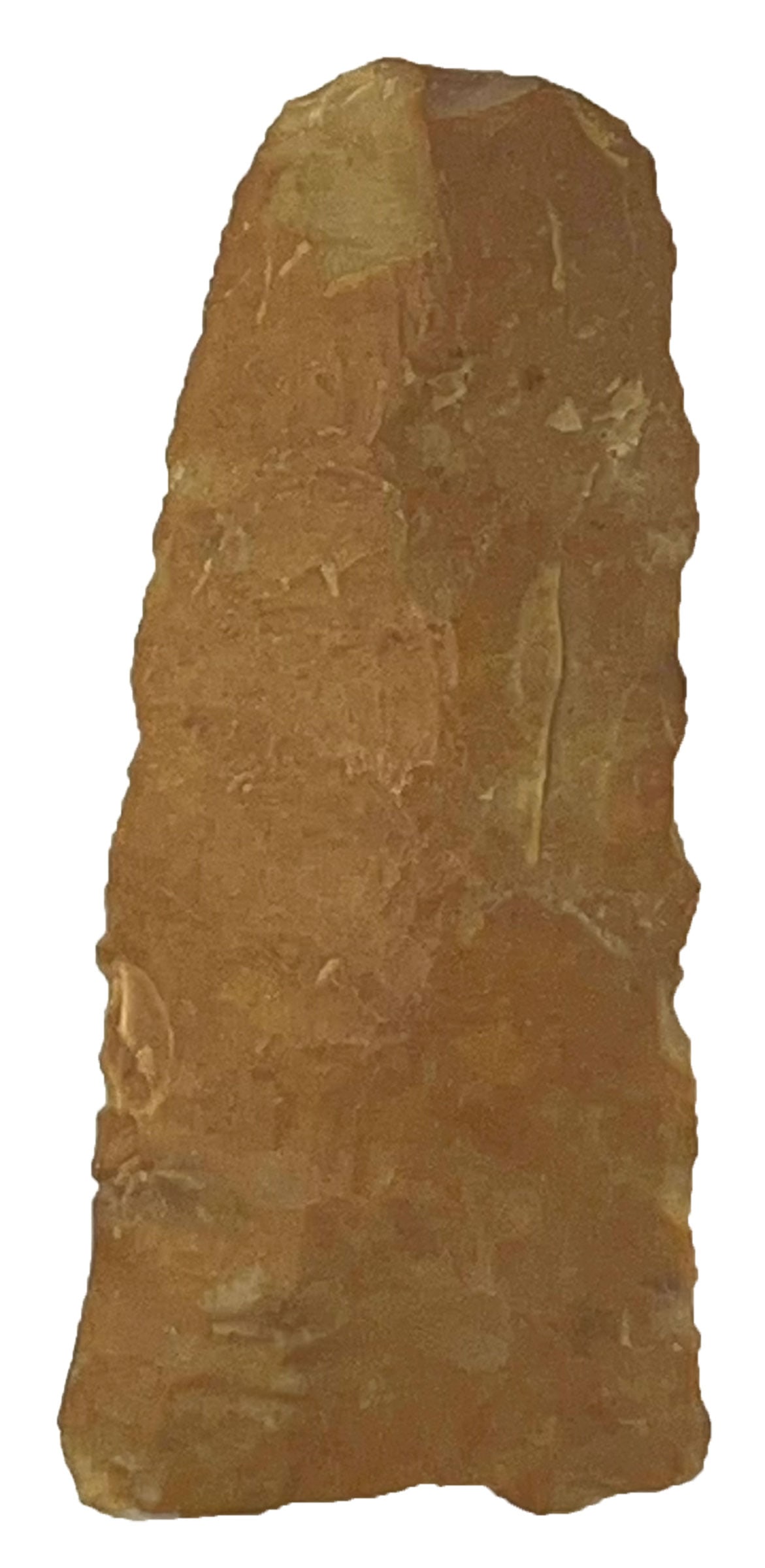 2 1/2” Plainview. Brown Chert. Ancient re chipping. Rogers COA.: 2 1/2” Plainview. Brown Chert. Tip has been re chipped in ancient times. Great old example. Grand County, Utah. Ex J.Thorgesen and T. Allen. Rogers COA.