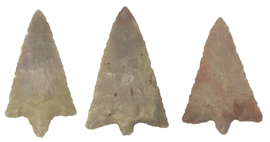 3 Florida Hillsborough Points. Florida. Ex Rick Sunderland.