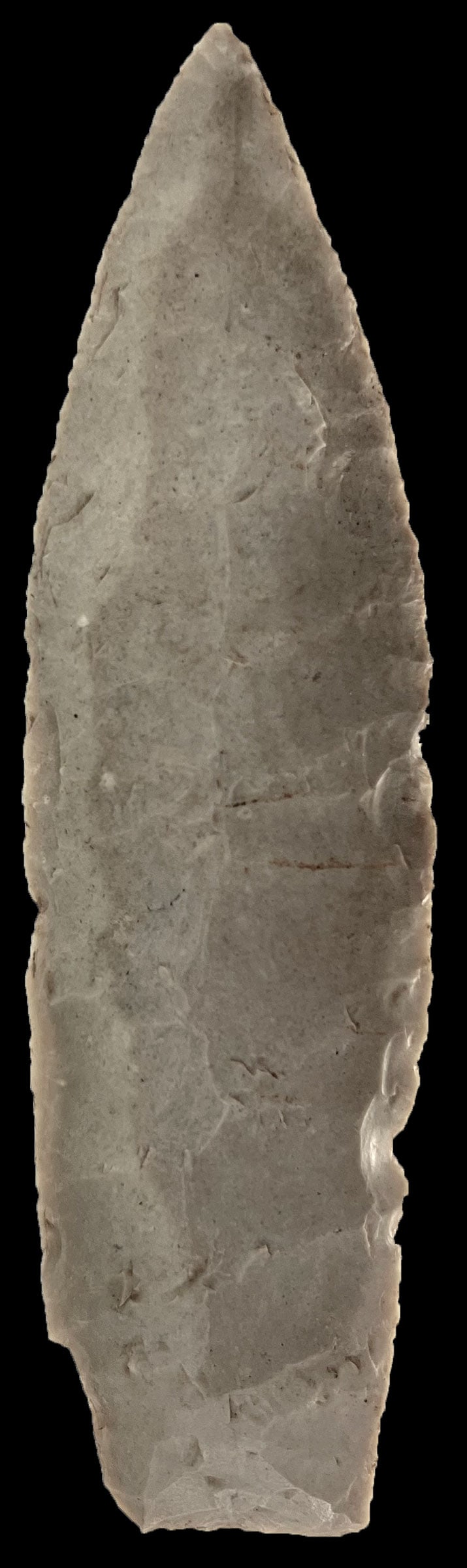 5 3/8” Sedalia Archaic Lanceolate. Glossy Burlington Chert. Ex Dale Rector.: 5 3/8” Sedalia Archaic Lanceolate. Glossy Burlington Chert. Cooper County, Missouri. Ex Dale Rector.