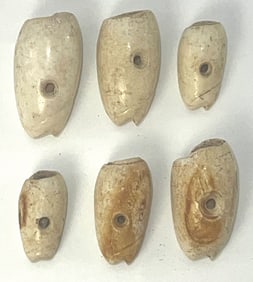 6 Drilled Shell Forelock Beads. Spiro Mound. Ex Dr Harner.