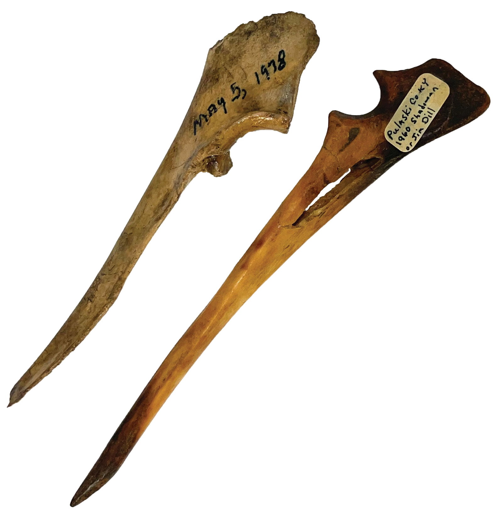 2 Bone Awls. 6” and 7”. Kentucky. Nicely Polished. Ex Dale Rector.: 2 Bone Awls. 6” was discovered May 5, 1978, may have a coating of glue and 7” was discovered in 1960 in Pulaski County, Kentucky. Nicely Polished. Ex Dale Rector.