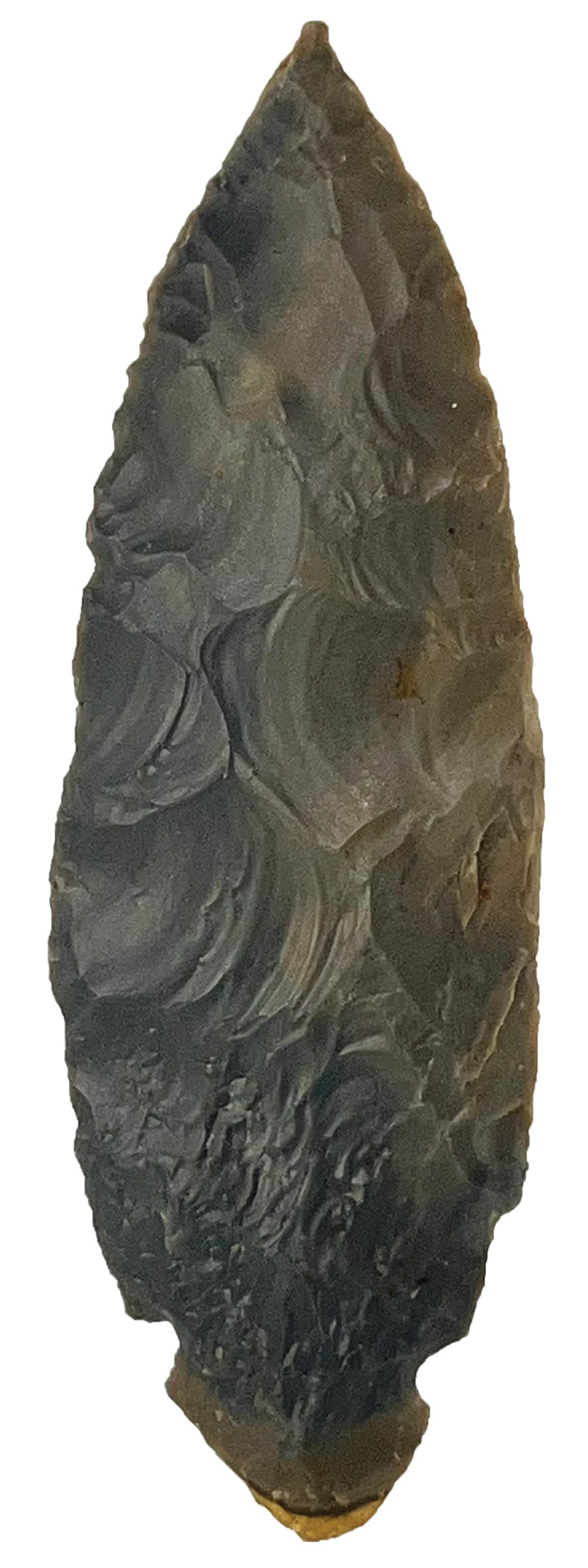 4 15/16” Turkeytail. Hornstone. Indiana. Excellent Example. Rogers COA. (1 of 3)