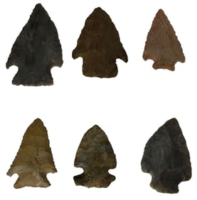 6 Points. Variety of types and material. Kentucky. Ex Dale Rector.