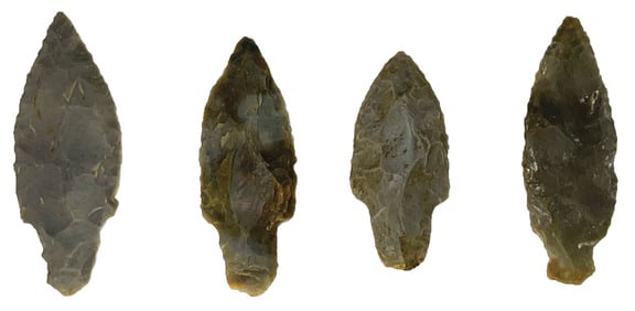 4 Good Old Adenas. Kentucky. Ex Dale Rector.