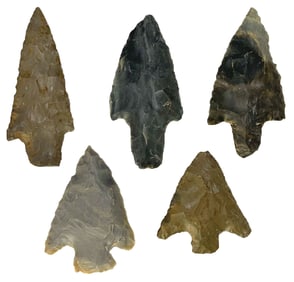 5  Great Examples of Kentucky Points. Ex Dale Rector.