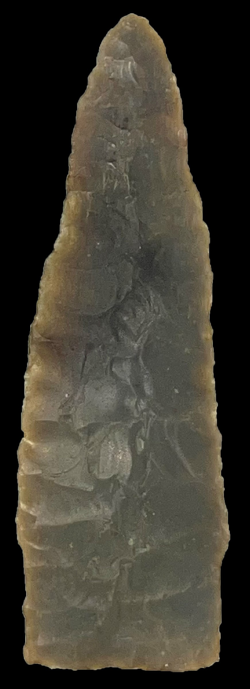3 5/16” Scottsbluff. Central Texas. Rogers COA.: 3 5/16” Scottsbluff. Gray Color Chert. Central Texas. Tip shows ancient resharpening. Ex Karl Kilguss and Terry Allen. Rogers COA.