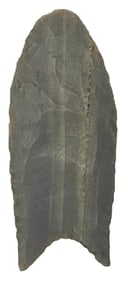 2 9/16" Clovis. Petrified Wood. Kentucky. Ex Jim Devine. Putty COA.