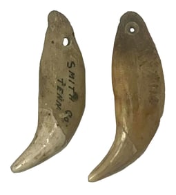 2 Bear Teeth Pendants (2 1/2" and 2 11/16"). Tennessee.