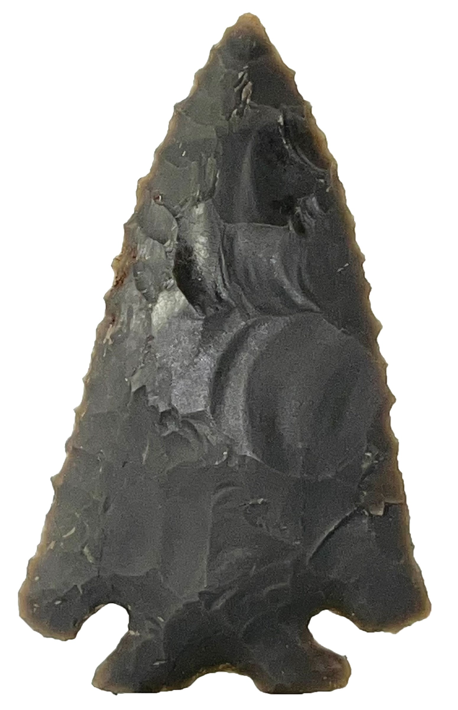 3 1/8" Pinetree. Hornstone Flint. Indiana. Ex William Allen. Rogers COA. (1 of 3)