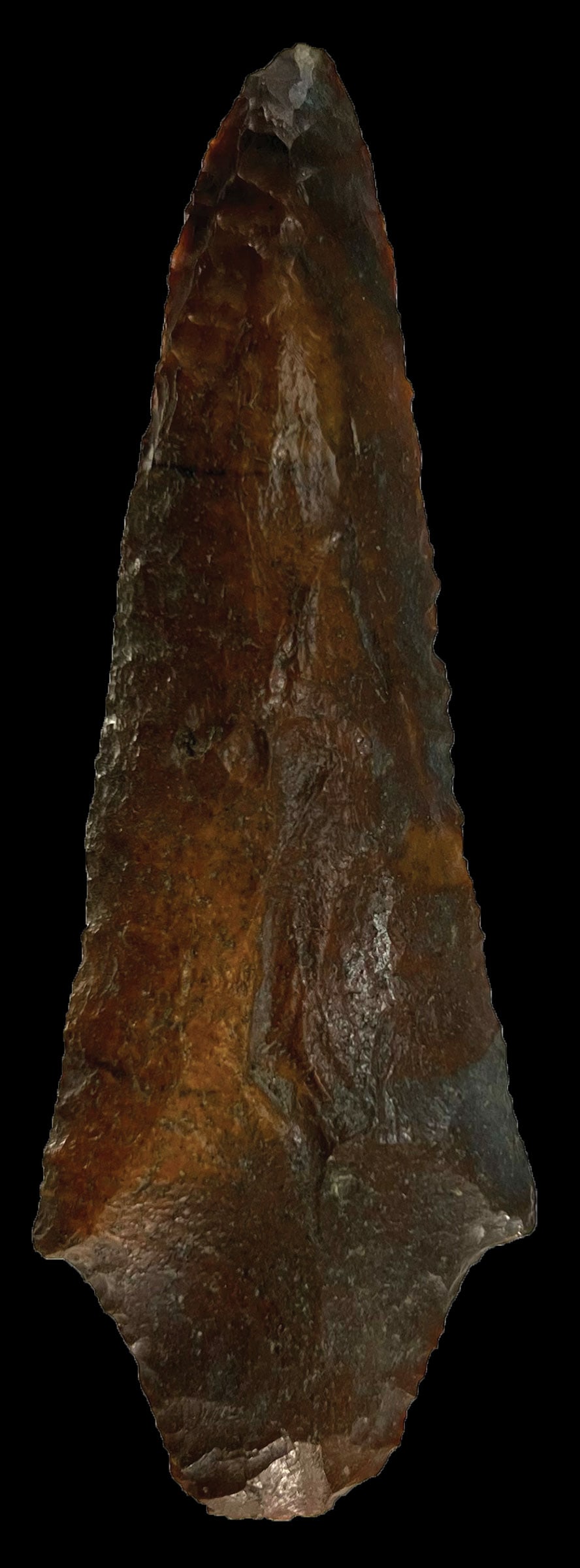4" Putman. Heavy Polished. Florida. Ex Terry Allen and Dale Rector.: 4" Putman. Heavy Polished. Found along the Suwanee River, Florida. Pictured in The Artifact Company 2010. Ex Terry Allen and Dale Rector.