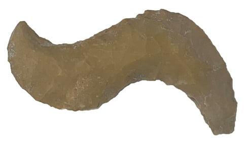 3 1/16" Pre-Columbian Eccentric. Belize. Ex Nick Gray.