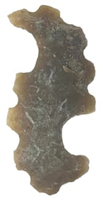 2 1/4" Pre-Columbian Eccentric. Belize. Ex Nick Gray.