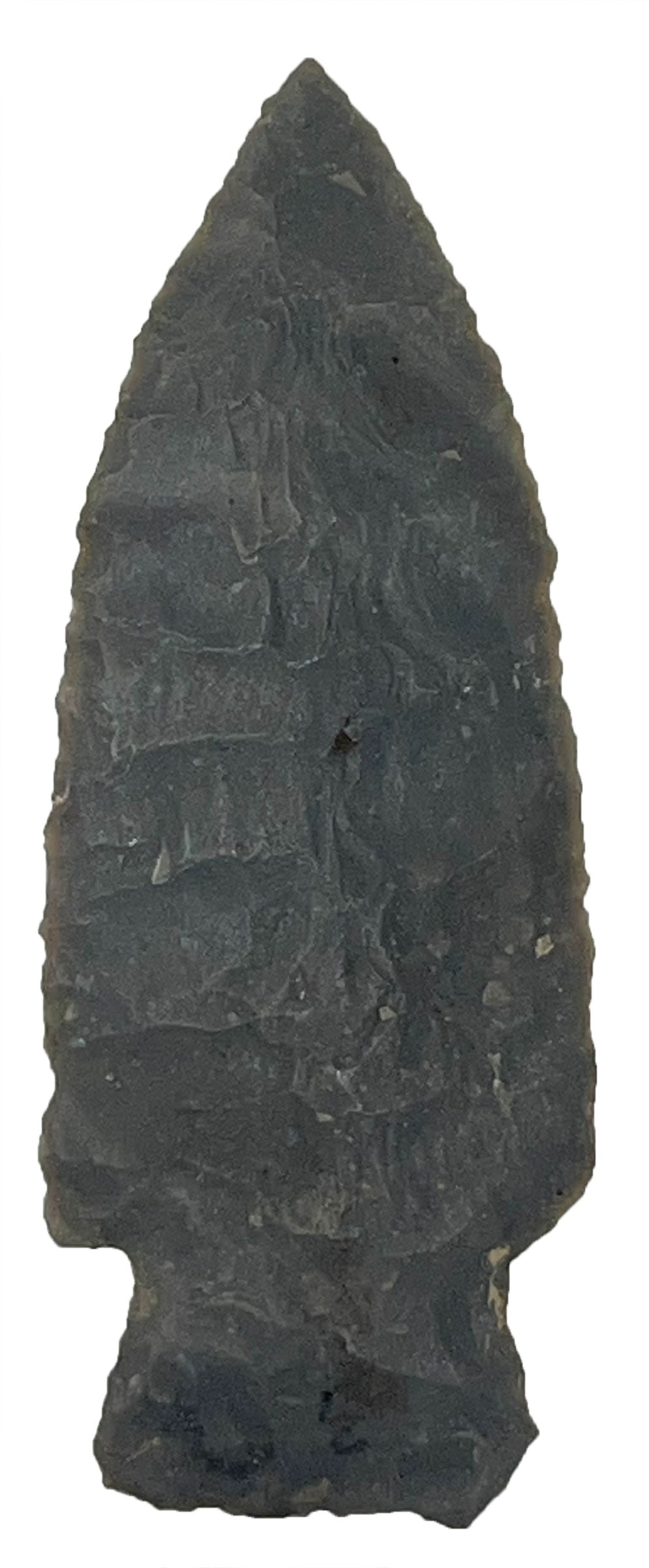 3" Scottsbluff Type Two. Hornstone. Eastern Illinois. Motley COA. (1 of 3)