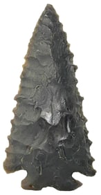 3 1/8" Pinetree. Hornstone. Ohio. Ex William Allen. Rogers COA.