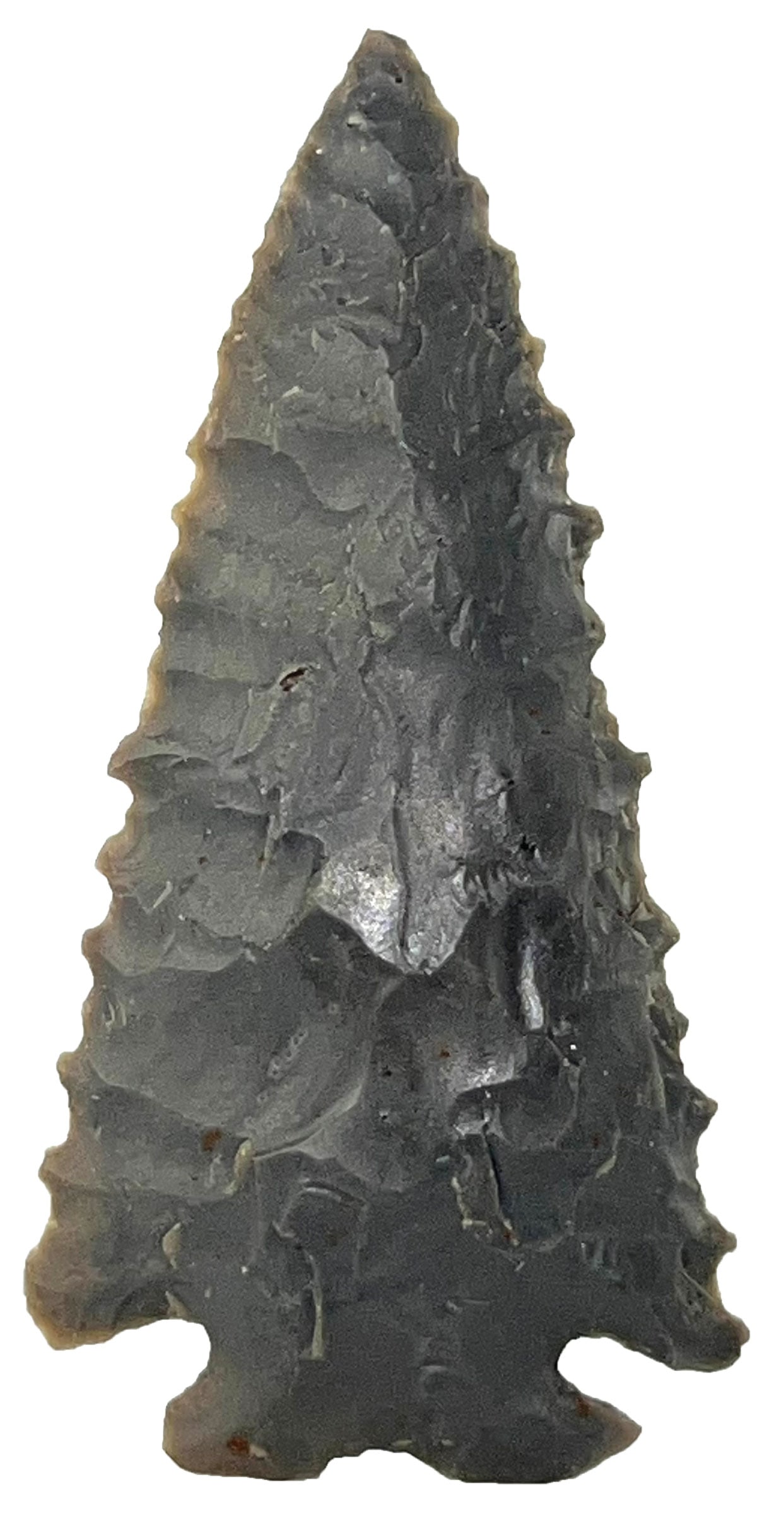 3 1/8" Pinetree. Hornstone. Ohio. Ex William Allen. Rogers COA. (1 of 3)