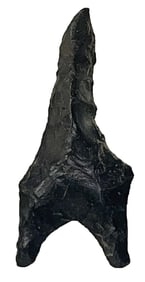 1 7/8" Dalton Drill. Black Chert. Alabama. Ex Nick Gray.