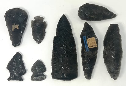 8 Obsidian Points (1' to 3 1/2"). Clear Lake, California Area. Ex Noel Swanson.