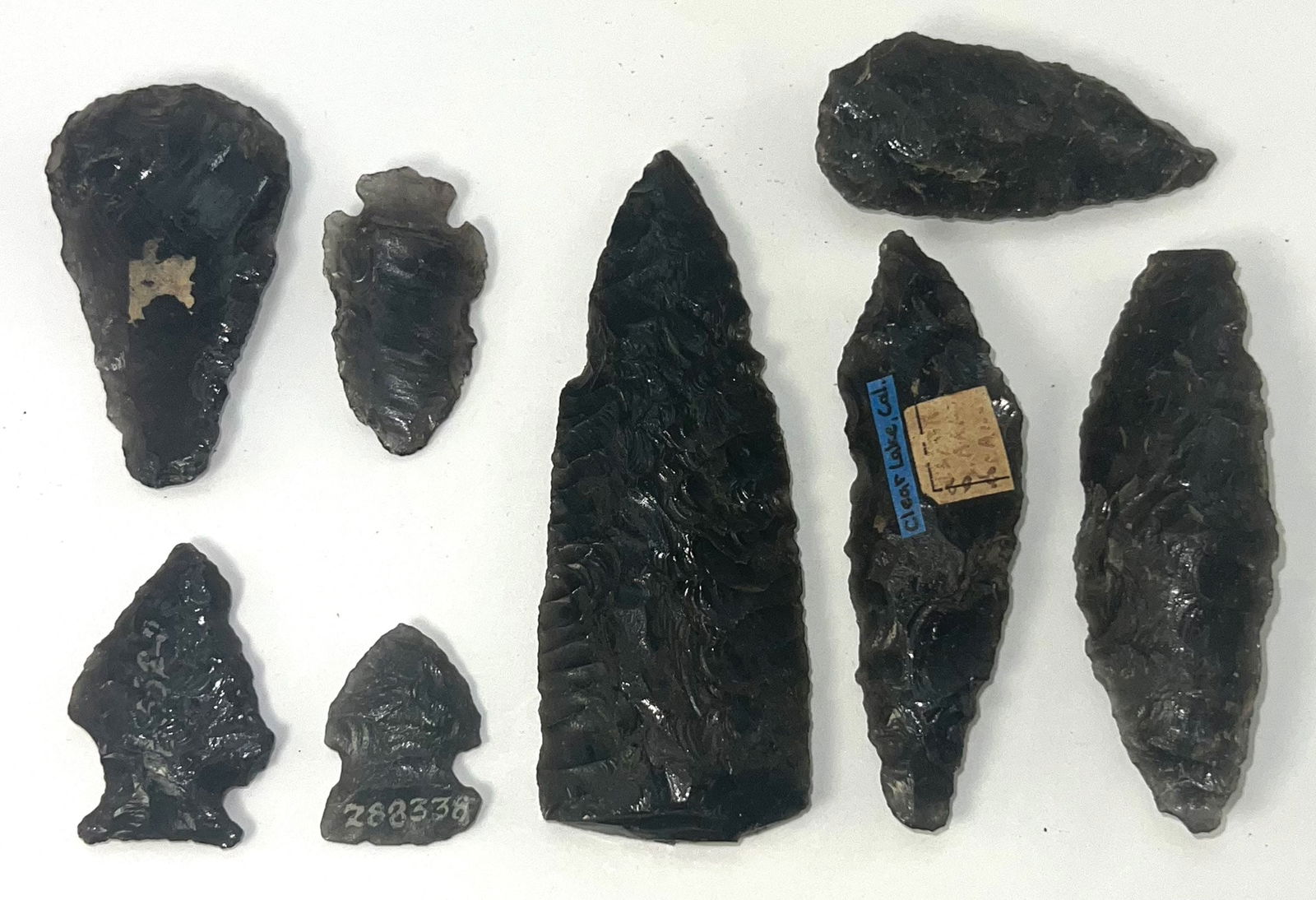8 Obsidian Points (1' to 3 1/2"). Clear Lake, California Area. Ex Noel Swanson. (1 of 2)