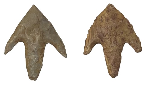 2 Small Bird Points. Ex Randy Ridenour and Gilbert Cooper.