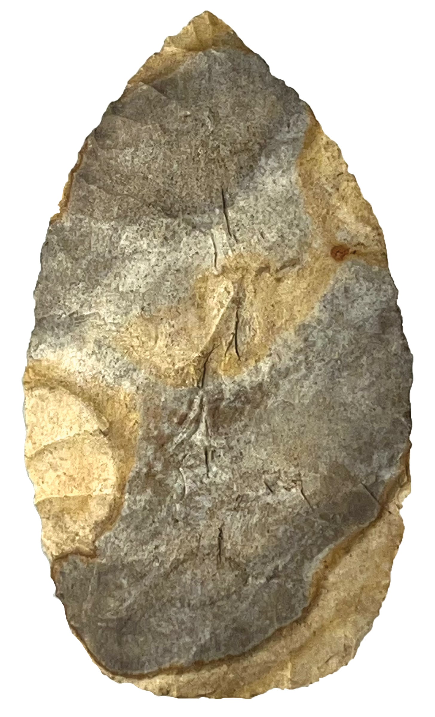 4 3/16" Leaf Blade. Very colorful Chert. Butler County, Kentucky. (1 of 2)