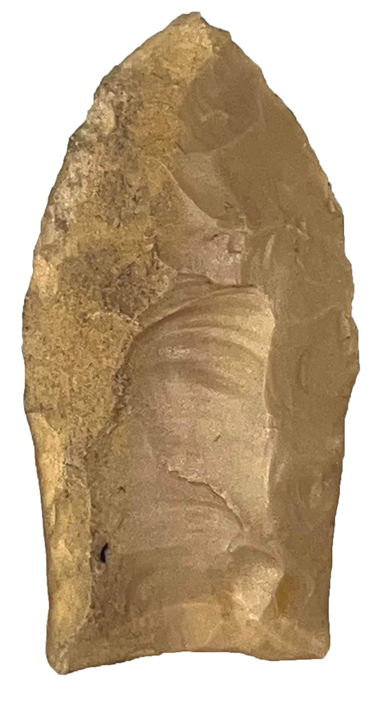 1 3/4" Clovis. Carter Cave Chert. Southern Illinois. Ex Walt McIntyre. (1 of 2)